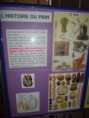 /album/galerie-de-photos-varengeville-sur-mer/sassetot-le-mauconduit-maison-croyances-pain-jpg/