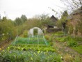 /album/galerie-de-photos-le-bourg-dun/le-bourg-dun-potager-jpg/
