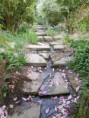 /album/galerie-de-photos-%3a-photos-arri%c3%a8re-pays-pictures-inland/grigneuseville-jardin-agapanthe-jpg/