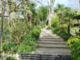 /album/galerie-de-photos-%3a-photos-arri%c3%a8re-pays-pictures-inland/grisgneuseville-jardin-agapanthe-jpg/